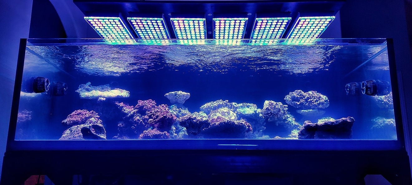 beste rev akvarium lys 2020