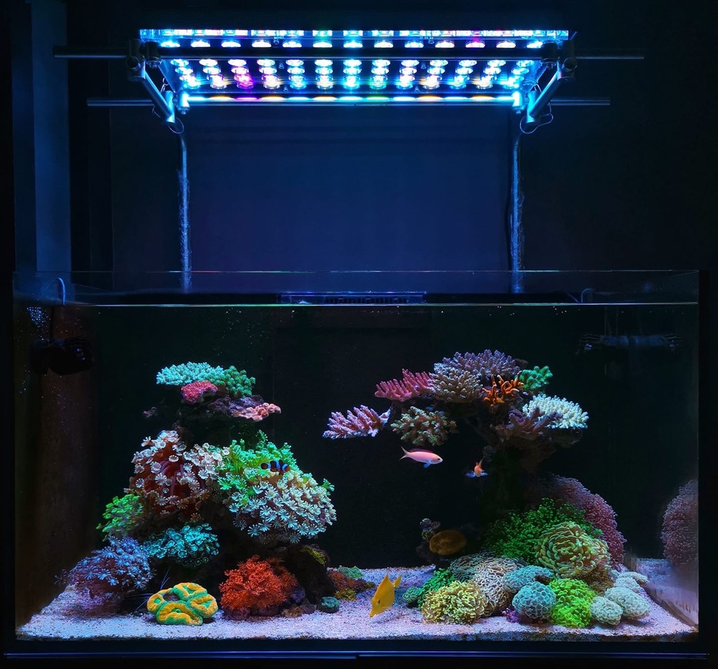 Las mejores luces LED para acuarios