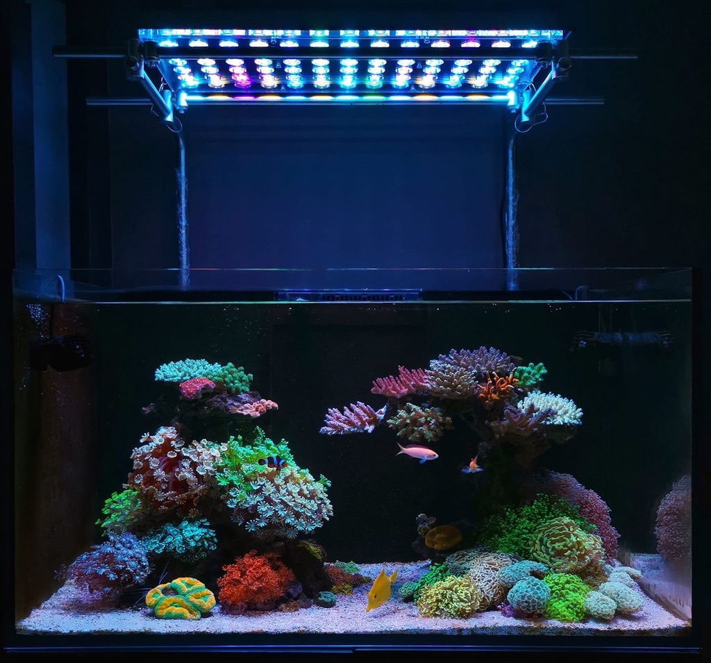 Las mejores luces LED Reef ¿Cuál es la mejor luz LED para acuarios