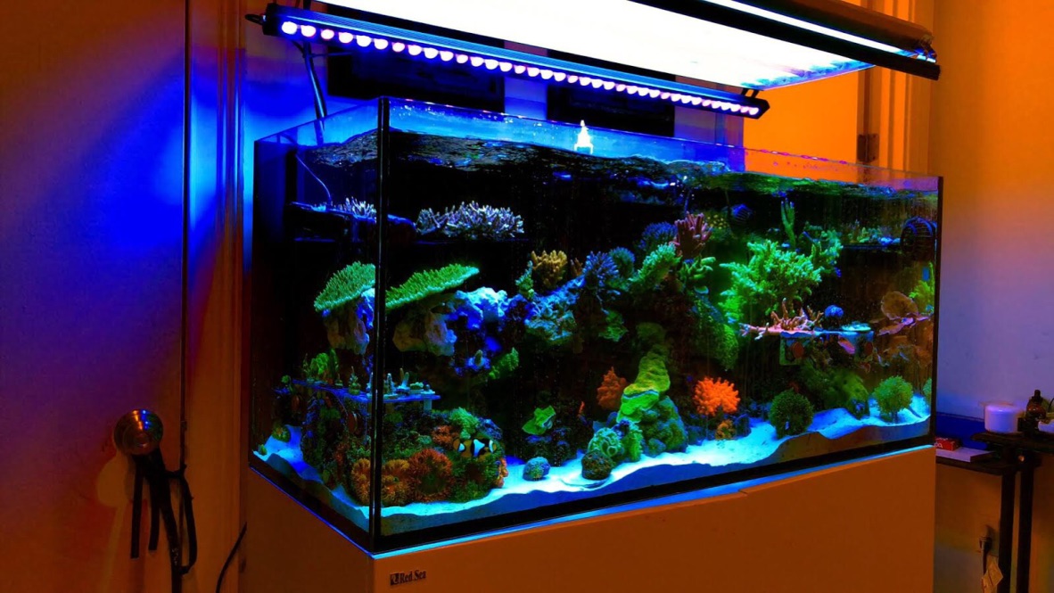 reef-LED-bar-Orphek
