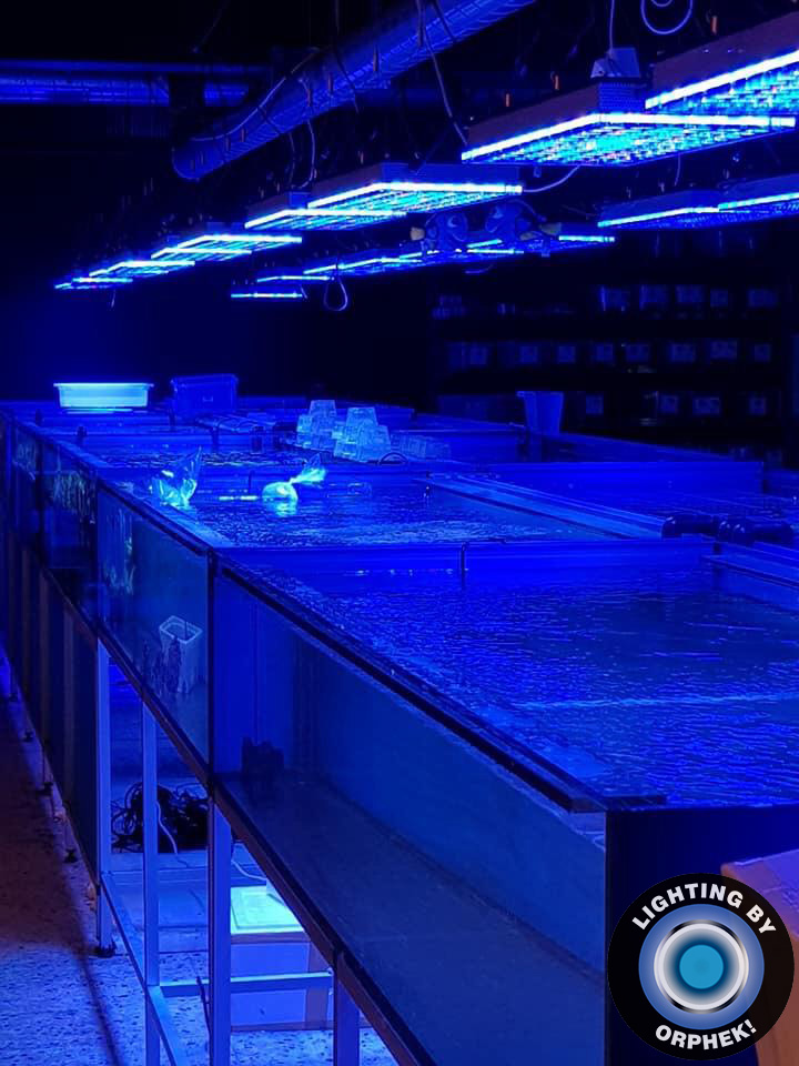 paras satlwater vesisäiliön LED-valaistus 2020