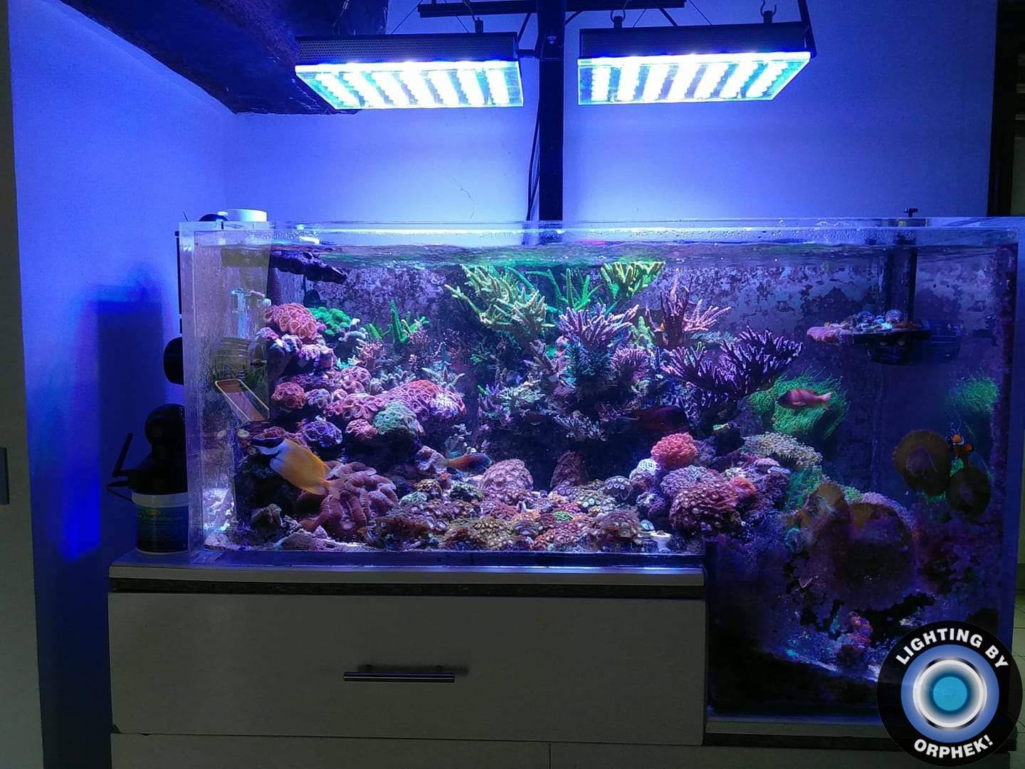 Orphek Atlantik Compact V4 G2 -Reef LED Light