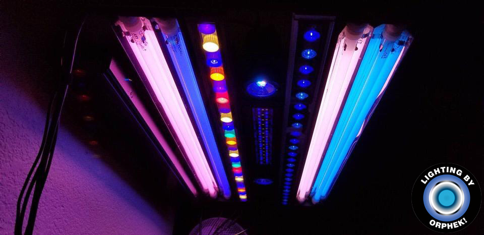 Orphek vedl osvětlení nejlepší LED pásek