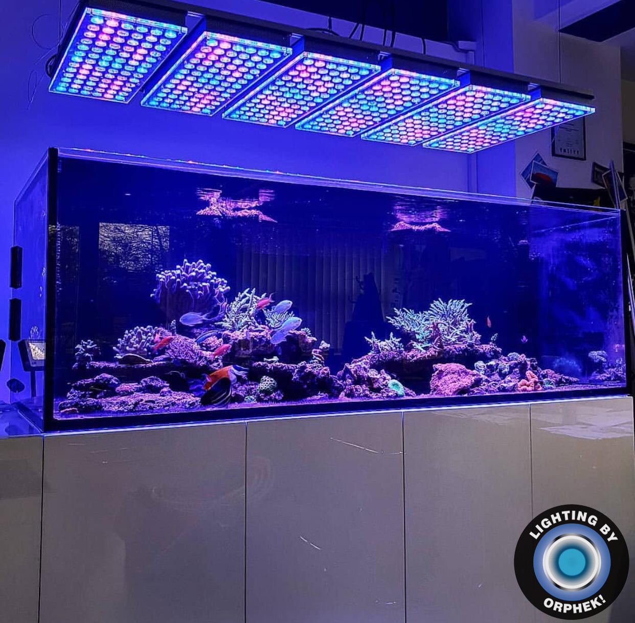 orphek atlantik v4 рифовый аквариум светодиодный свет