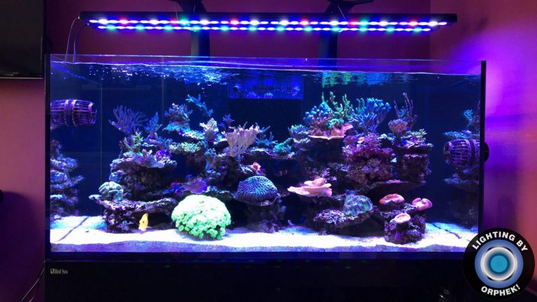 best reef tank LED strip 2020