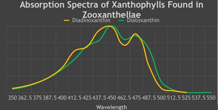 Absorption-Spectra-of-Xanthophylls-Found-in-Zooxanthellae