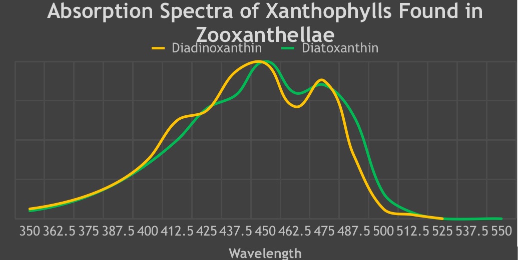 Emme-Spectra-of-Ksantofiller-Bulunan-in-zooxanthellae