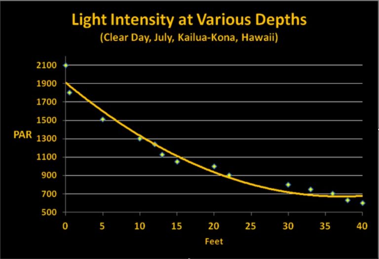 Light-intensty-PAR-at-veriuos-depth