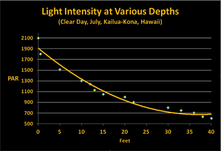 Intensité lumineuse-PAR-at-veriuos-depth