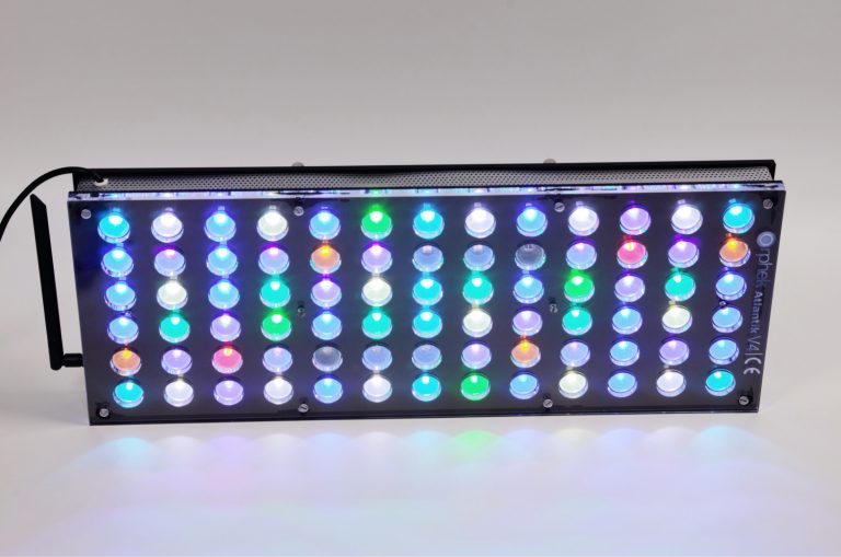 best reef tank LED light