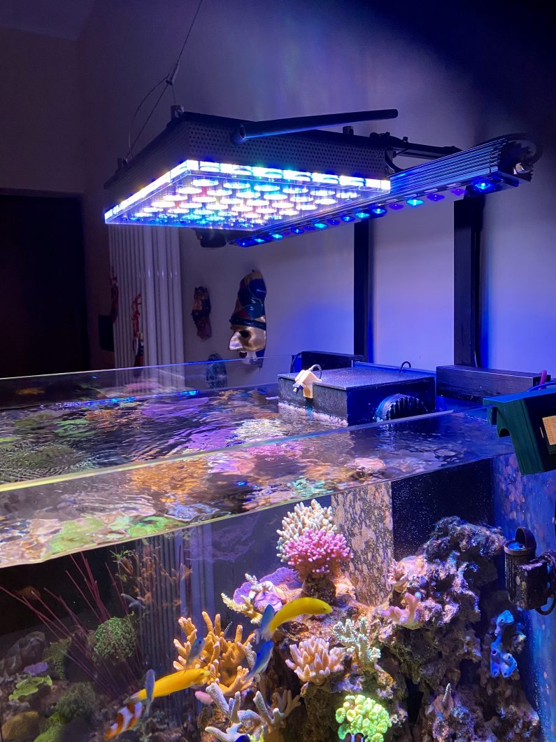 Cubo_reef_aquarium_led_light