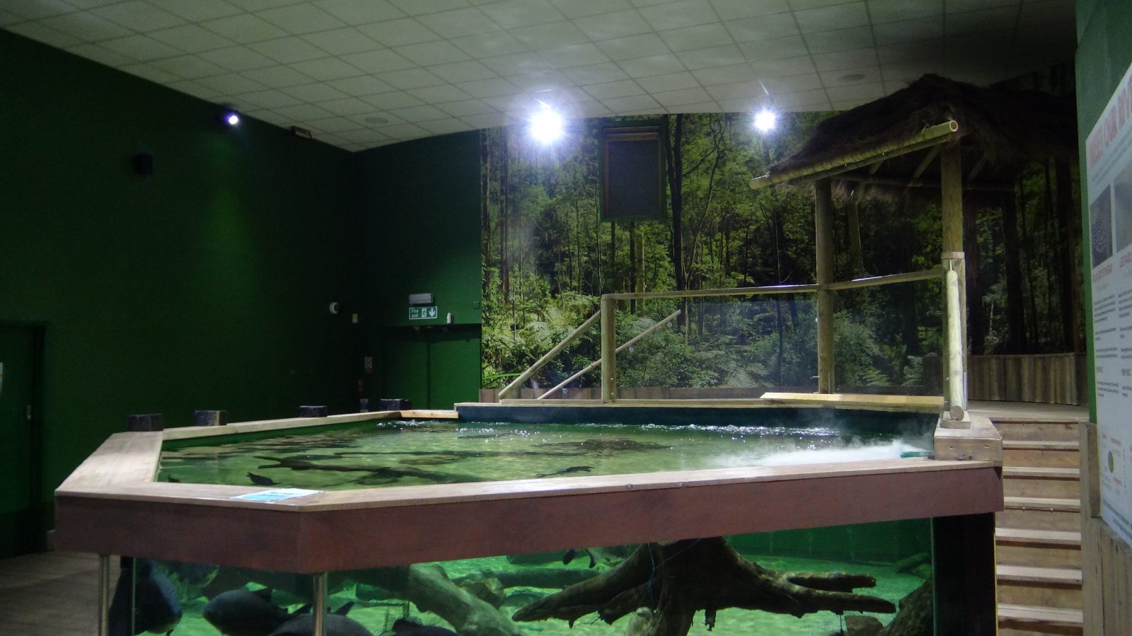 best-frashwater-led-light-public-aquarium