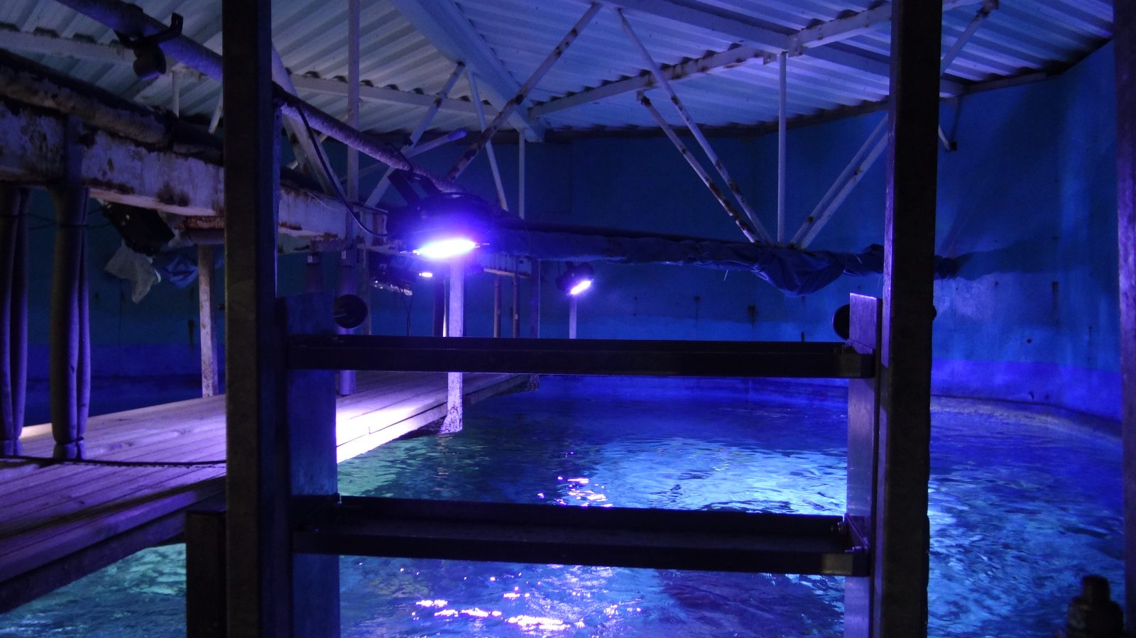orphek-amazonas-960-best-for-public-aquarium-projects