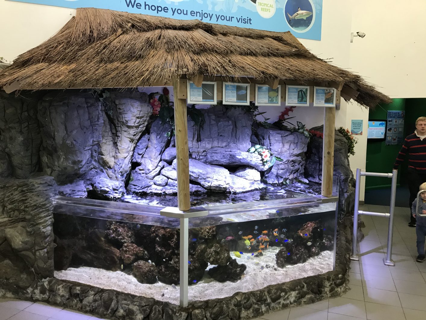 Public-aquarium