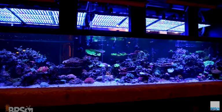 2000-galons-reef-tank-Atlantik-V4-Gen2-1