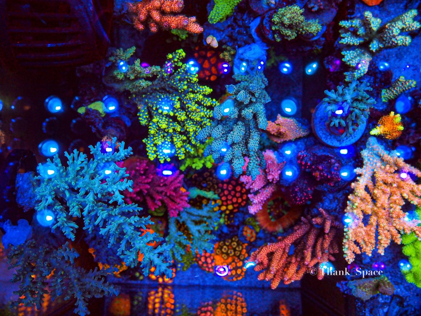 Orphek OR2 Reef Aquarium LED-barer