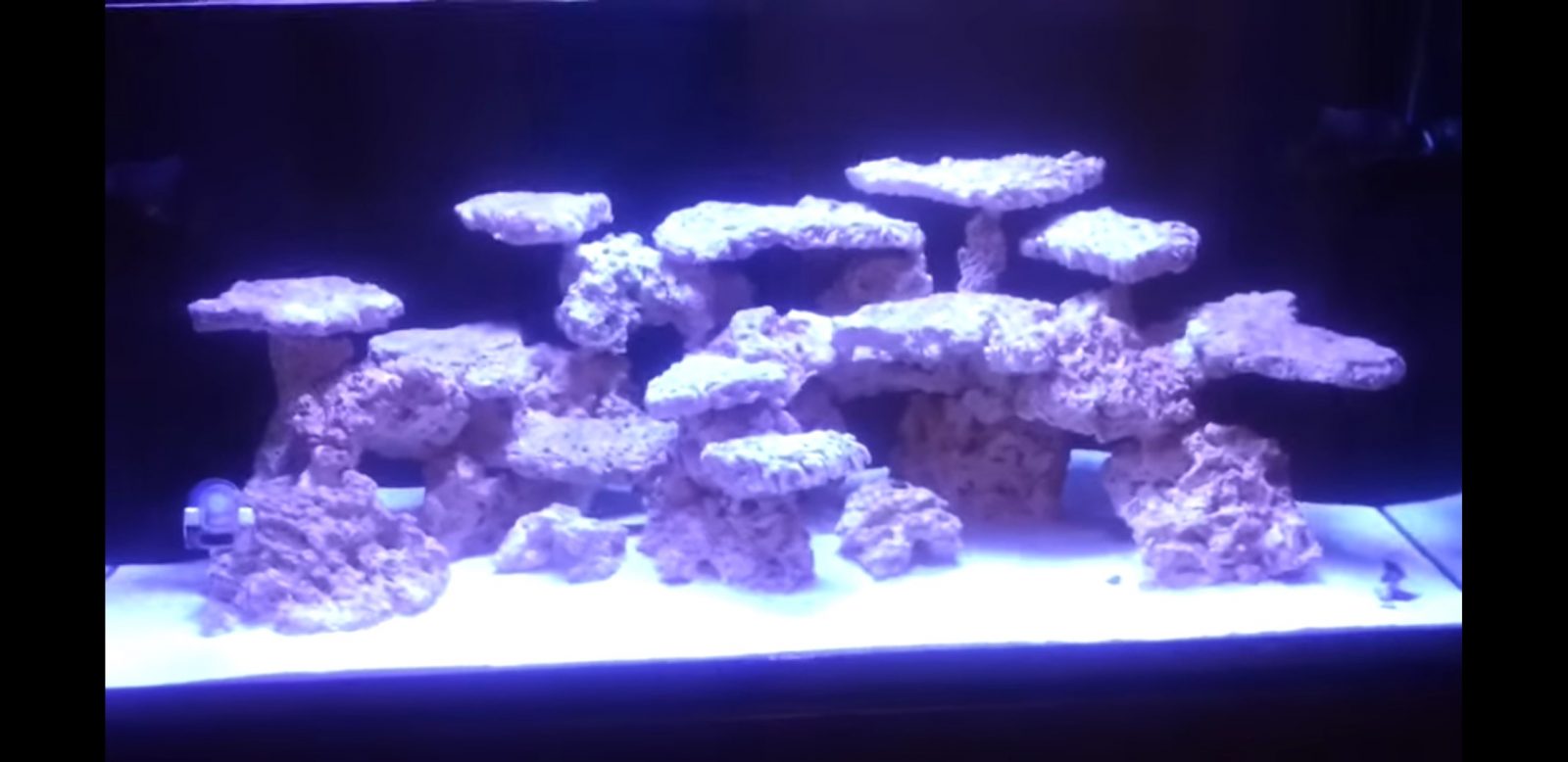 aquarium récifal avant l'éclairage orphek