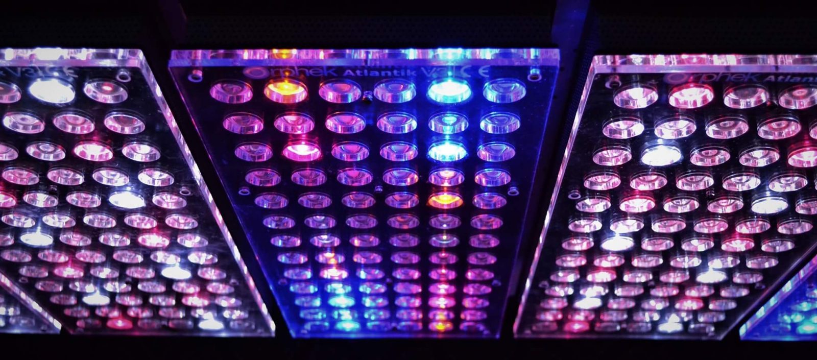 highest quality aquarium lights 