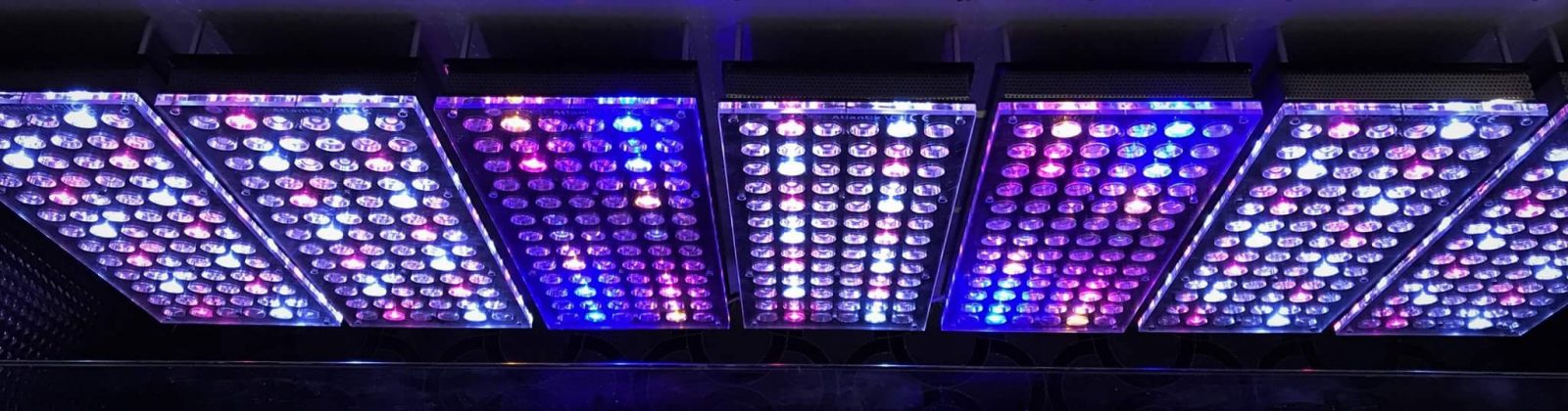 atlantik bästa akvarium LED-ljus