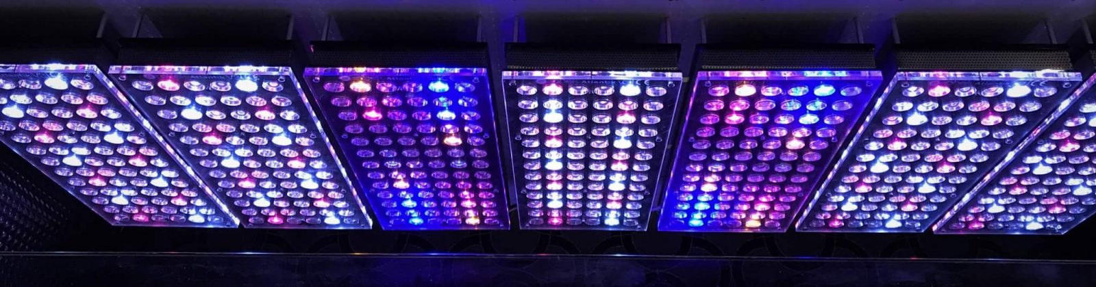 atlantik  best aquarium LED light 