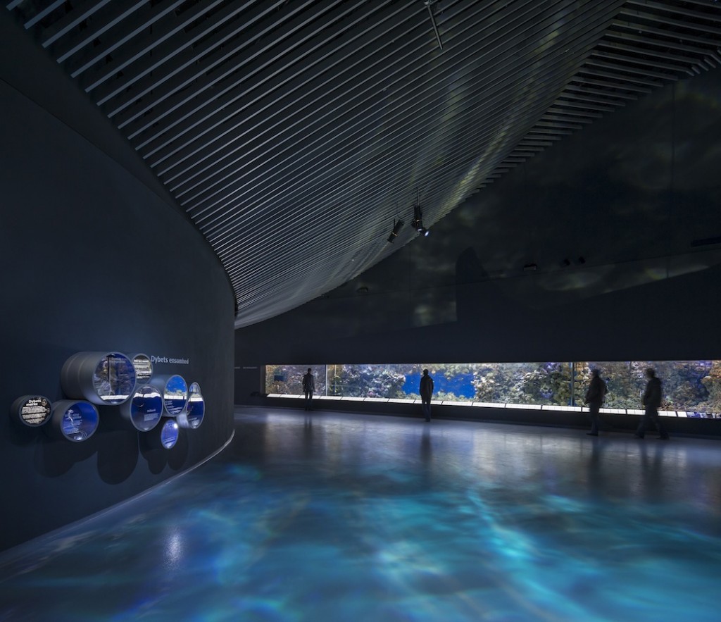 top aquarium LED-verlichting orphek