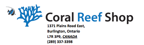 coral reef shop