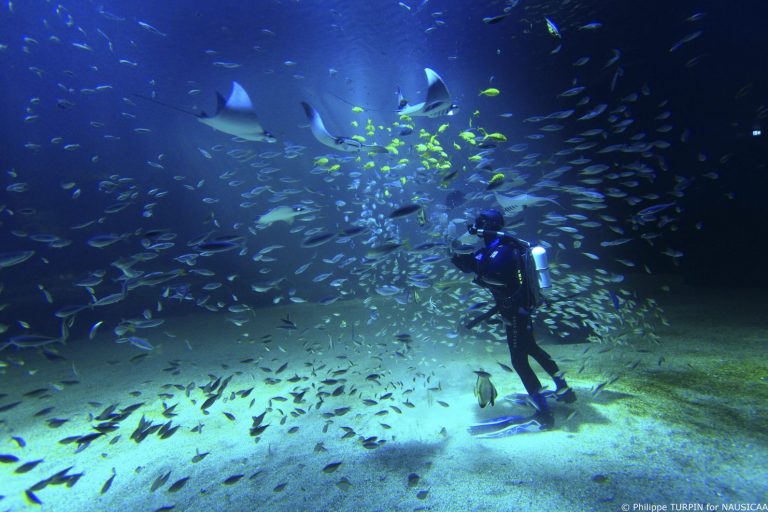 beautiful deep water public tank