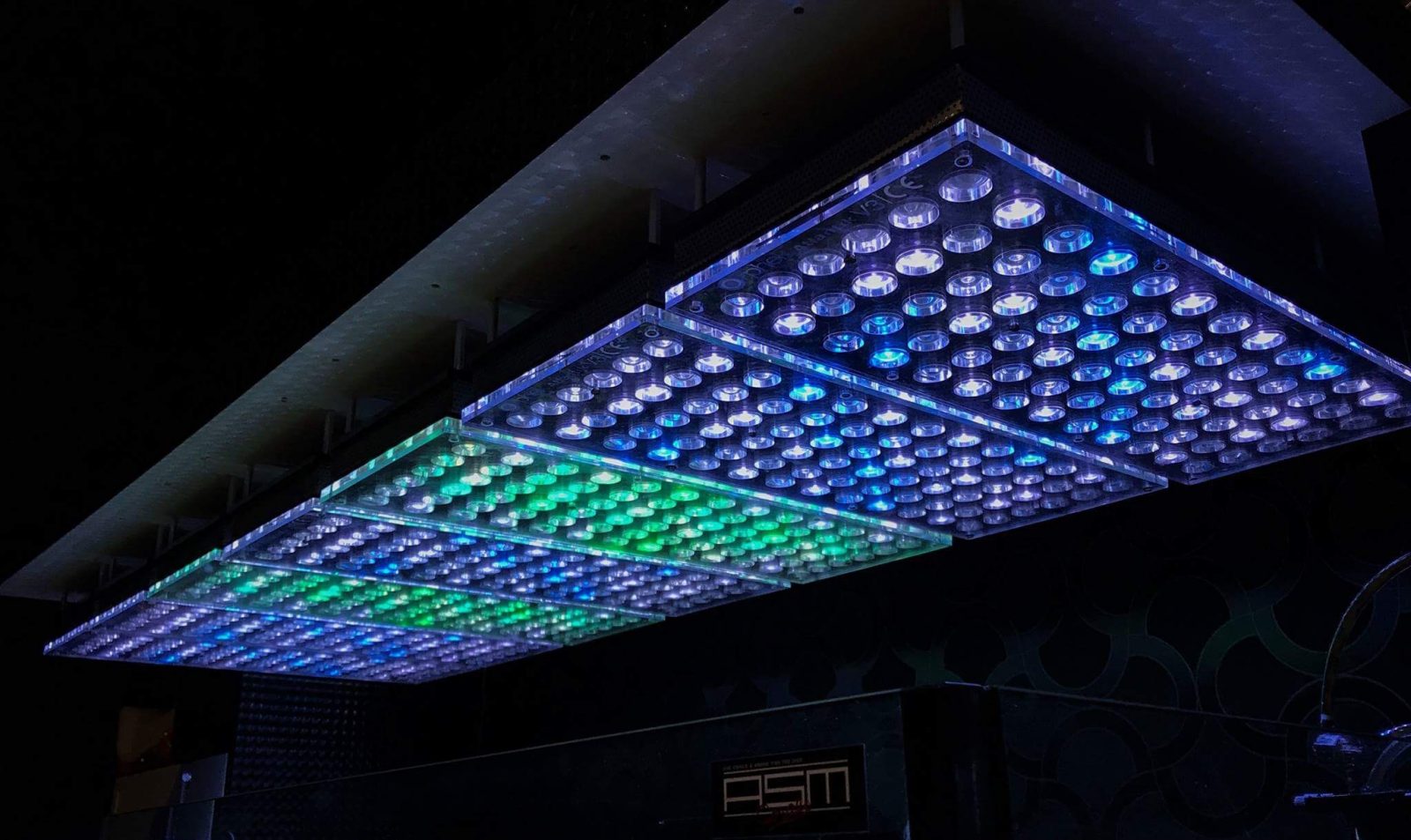 en iyi resif tankı led ışık orphek Atlantik