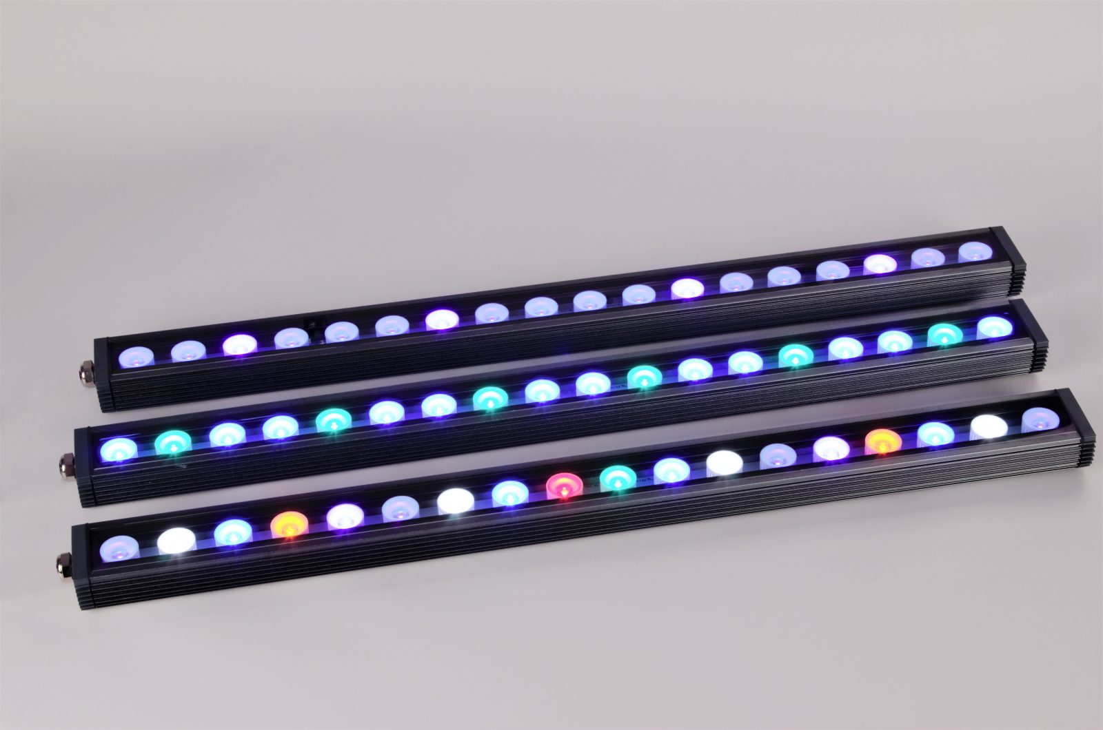 meilleure bande LED d'aquarium
