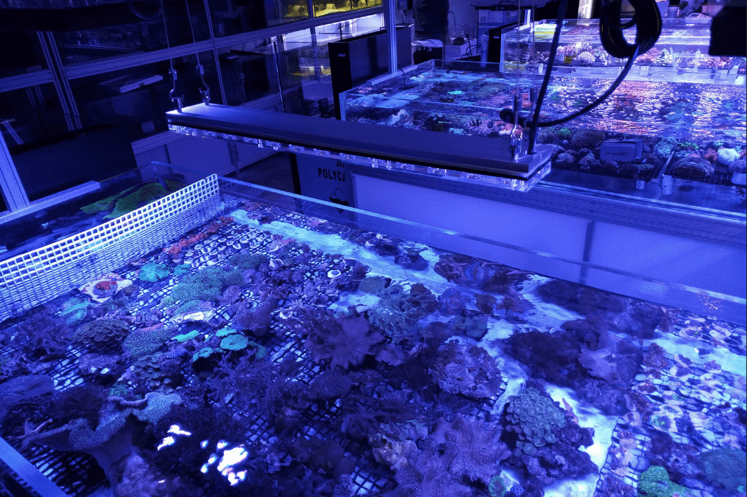 bästa reef tank led bar 2020