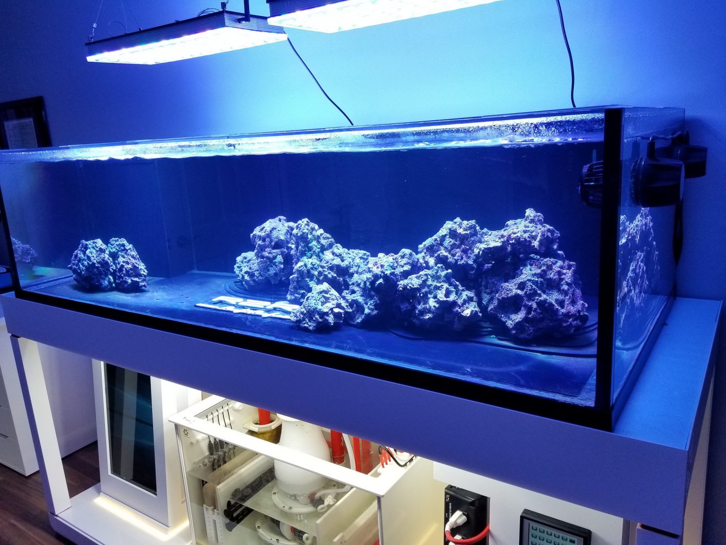 lumières d'aquarium de récif d'eau salée