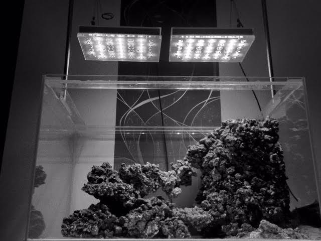 atlantik v4 compact best saltwater tank light