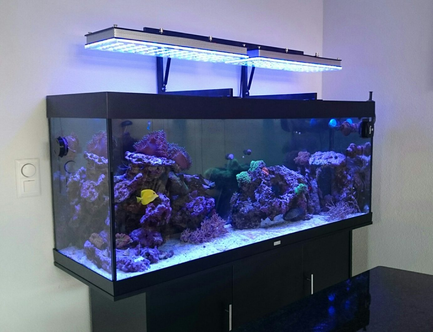 topkvalitets akvarie led belysning