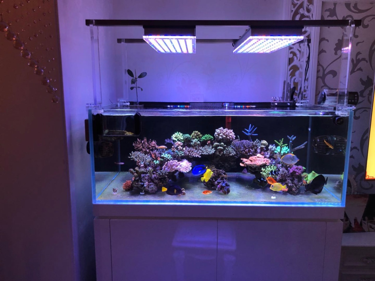 лучший аквариум с морской водой светодиодное освещение монтажный кронштейн 2020