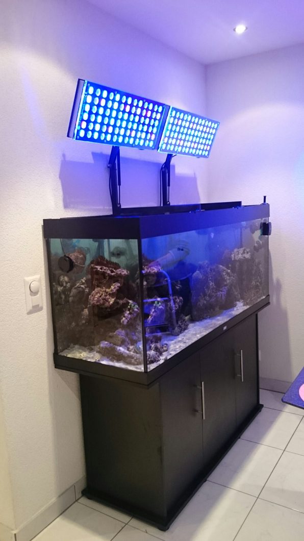 orphek atlantik v4 en iyi tank ışığı