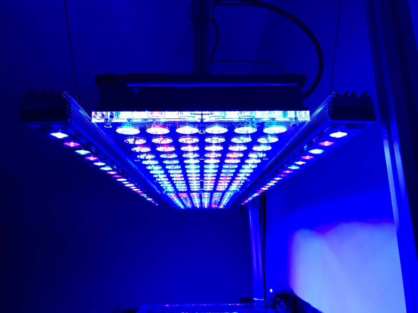 det beste LED-lyset til akvarium