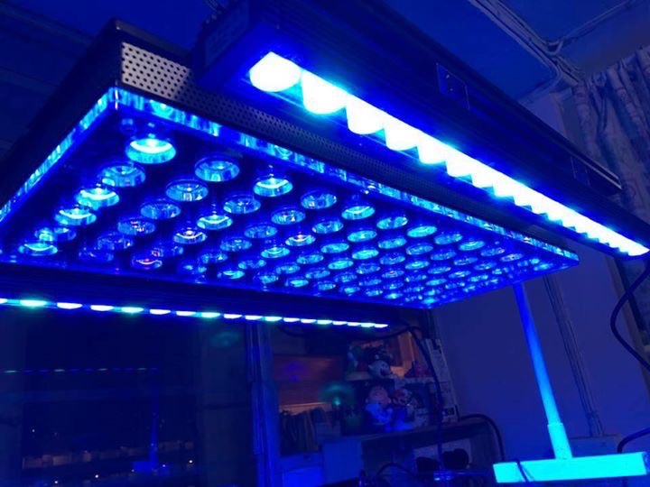 lumières LED d'aquarium de récif de corail les plus rapides