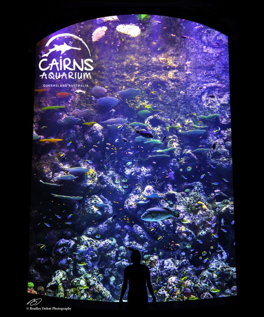 orphek reef akvarium led lys amazonas 500