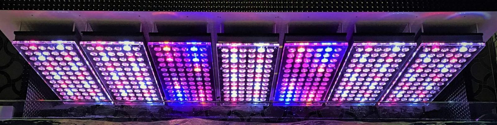 strongest aquarium led lighting in the market