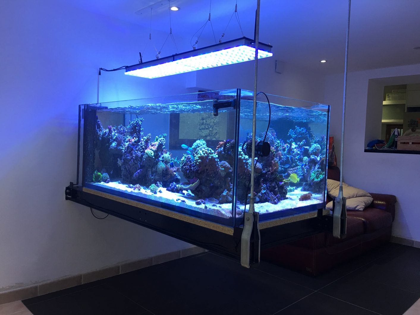 best saltwater reef aquarium led lighting