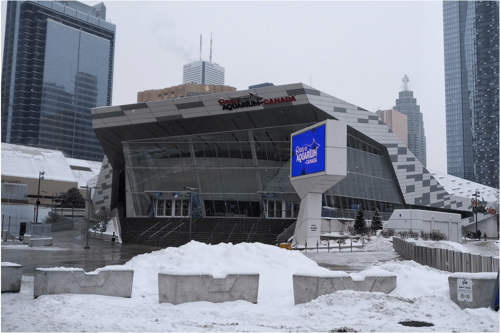 Canada bellissimo acquario pubblico