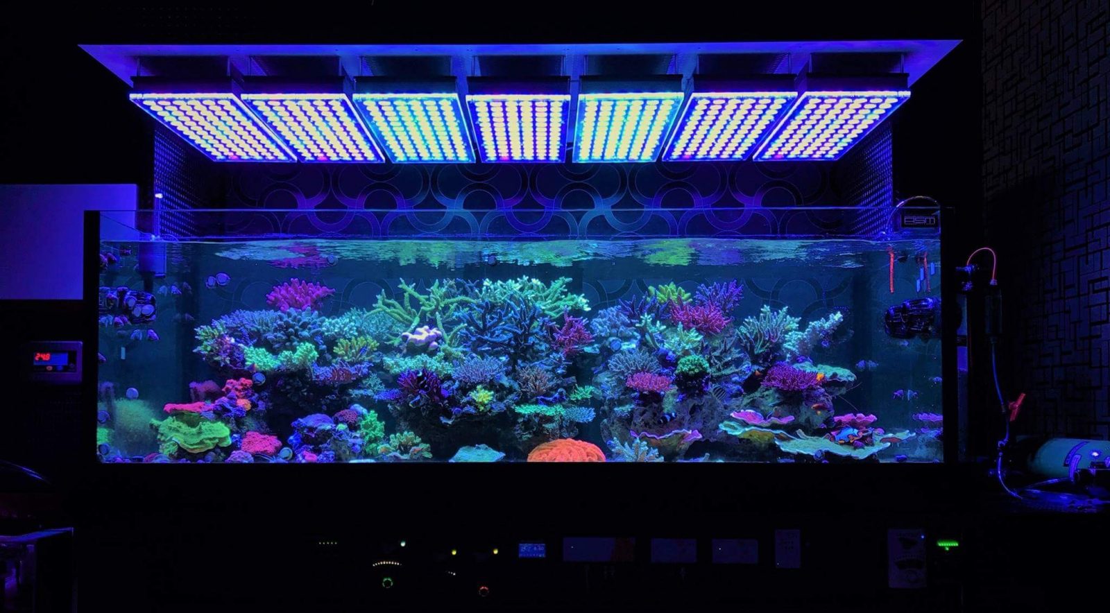 最高のサンゴ礁水族館照明.