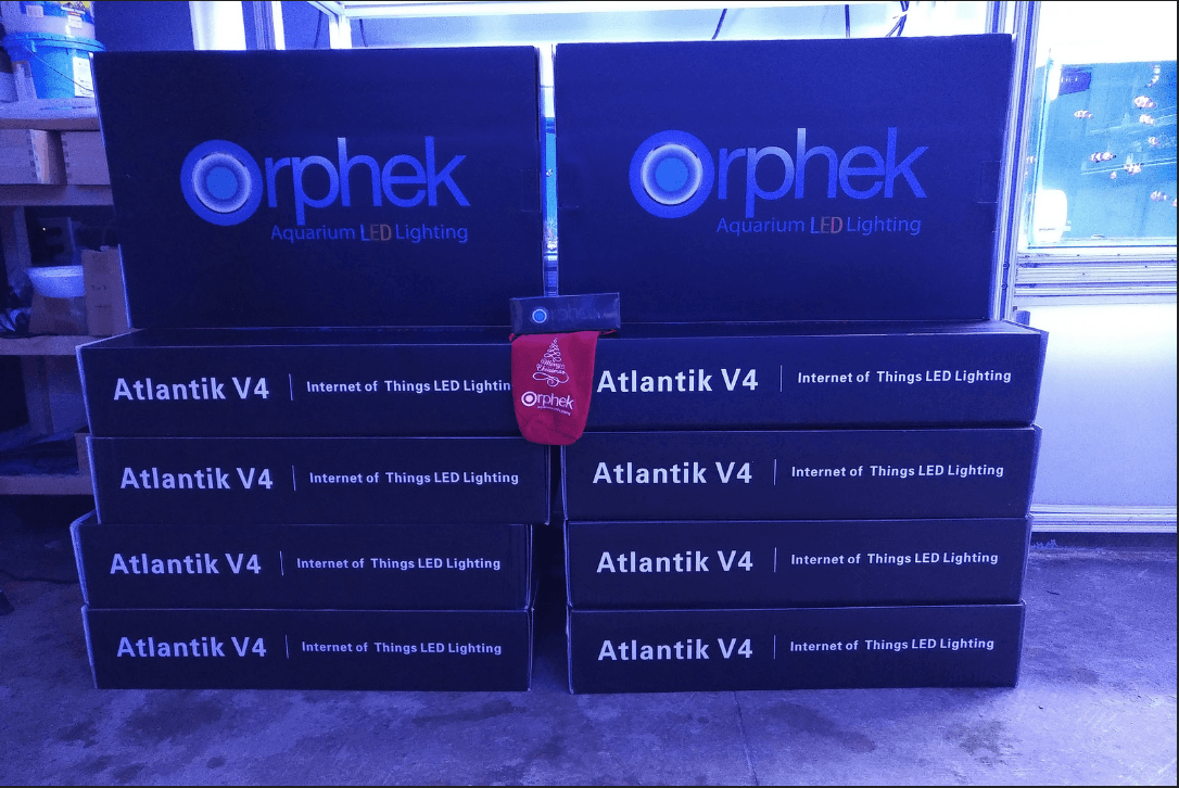 Orphek atlantik 珊瑚礁水族館 LED 照明