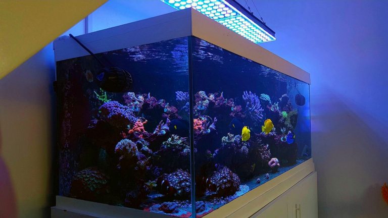 Uk Clients Reviewing Atlantik V4 Reef Aquarium Led Lighting •orphek 5820