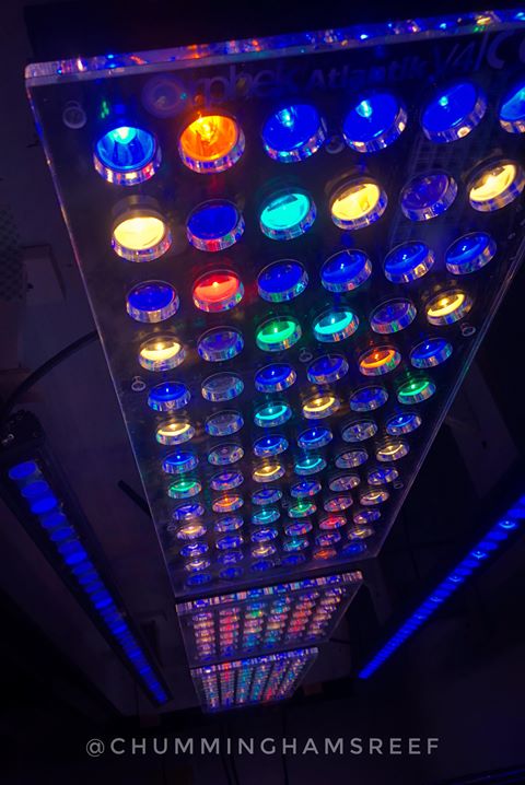 Mejor acuario de iluminación LED 2020