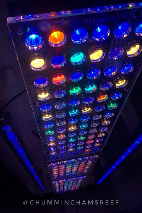 reef led lights