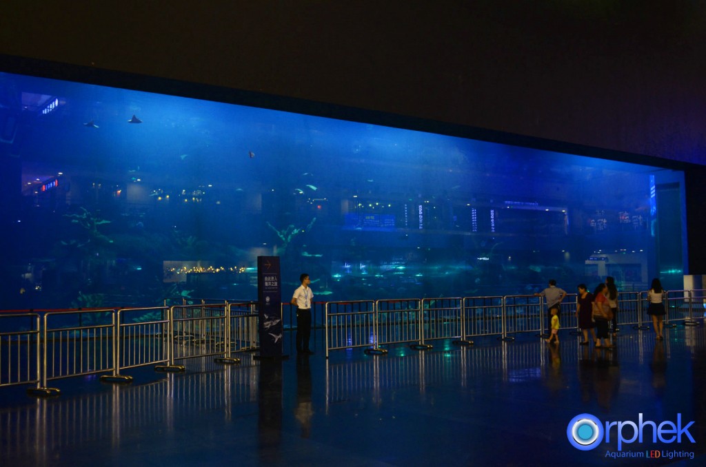 מיכל השונית הגדול בעולם תאורת LED