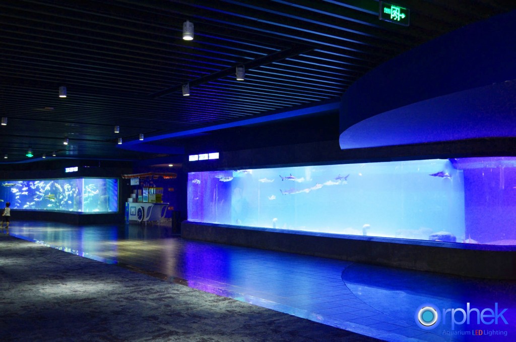 syvän veden akvaario LEDit
