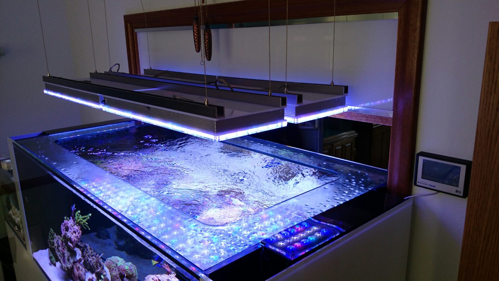 top saltwater aquarium lighting