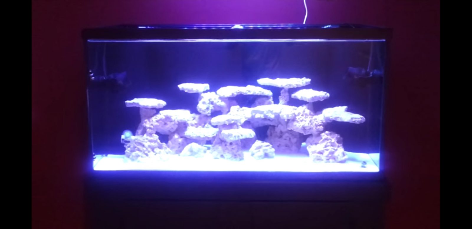 atlantik v4 aquarium light